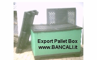 Export  Pallet  Box