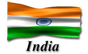 india export pallet